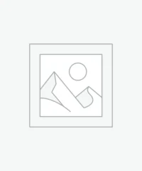 Uncategorized